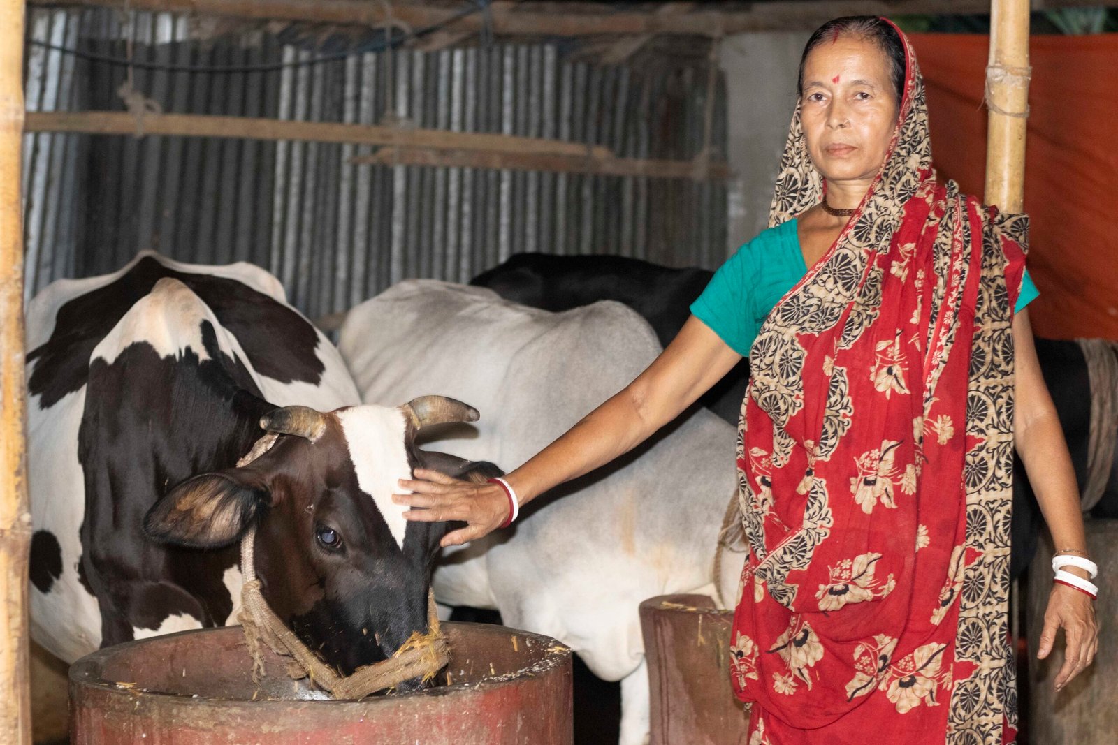 Tailored Financial Products: Tailored Financial Products: