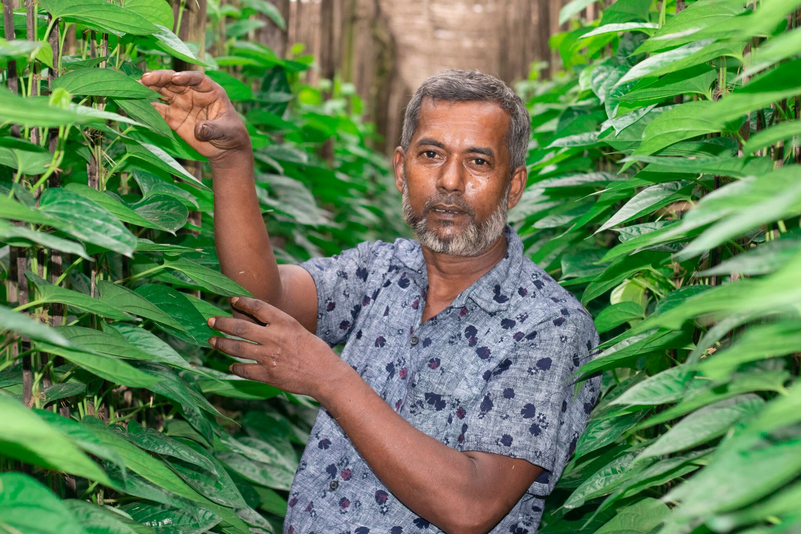 Accessibility and Inclusivity Shapla Microfinance